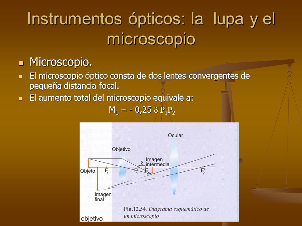 Lente convergente microscopio clearance